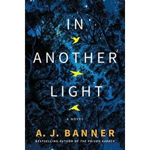 In Another Light, Paperback - A. J. Banner imagine
