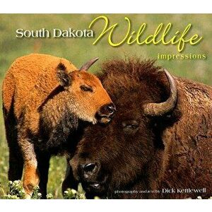 South Dakota Wildlife Impressions, Paperback - Dick Kettlewell imagine