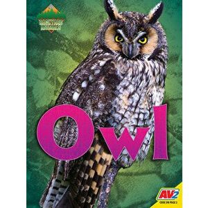 Owl, Library Binding - Nick Winnick imagine