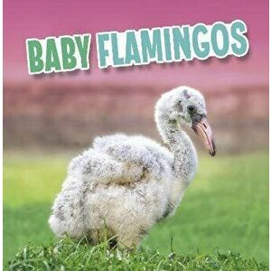 Baby Flamingos, Hardback - Martha E. H. Rustad imagine