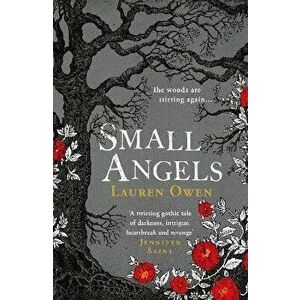 Small Angels. A 'beautifully written modern ghost story' New York Times, Hardback - Lauren Owen imagine