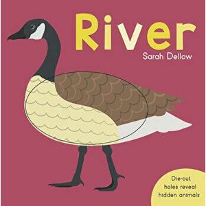 Now you See It! River, Board book - Sarah Dellow imagine