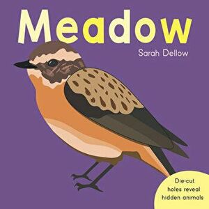 Now you See It! Meadow, Board book - Sarah Dellow imagine