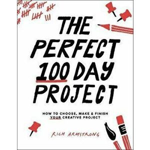 The Perfect 100 Day Project, Paperback - Rich Armstrong imagine
