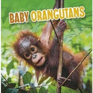 Baby Orangutans, Hardback - Martha E. H. Rustad imagine