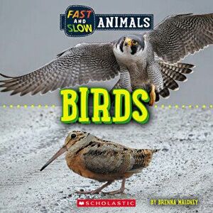 Fast and Slow: Birds (Wild World), Paperback - Brenna Maloney imagine