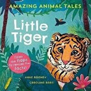 Amazing Animal Tales: Little Tiger. 1, Paperback - Anne Rooney imagine