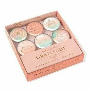 Gratitude: Glass Magnet Set (Set of 6) - Insight Editions imagine