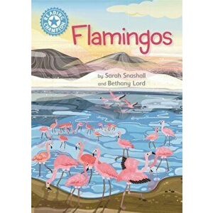 Reading Champion: Flamingos. Independent Reading Non-Fiction Blue 4, Hardback - Sarah Snashall imagine