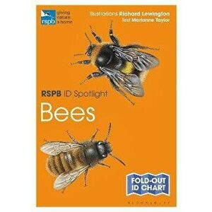 RSPB ID Spotlight - Bees - Marianne Taylor imagine
