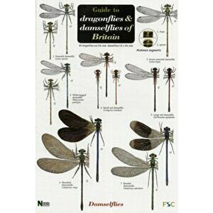 Guide to the Dragonflies and Damselflies of Britain, Sheet Map - Steve Brooks imagine