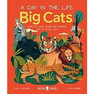 Big Cats (A Day in the Life). What Do Lions, Tigers and Panthers Get up to all day?, Hardback - Williams imagine
