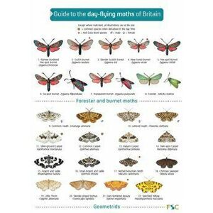 Guide to the Day-Flying Moths of Britain - Richard Lewington imagine