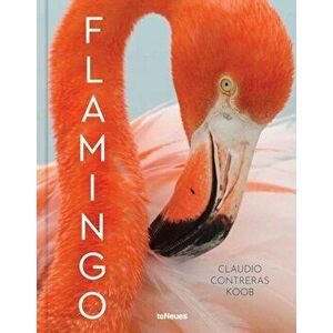 Flamingo, Hardback - Claudio Contreras Koob imagine