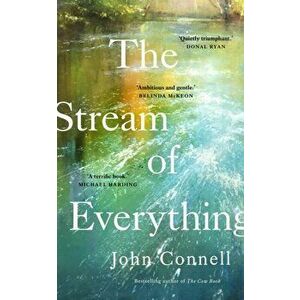 The Stream of Everything, Hardback - John Connell imagine