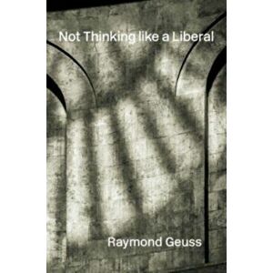 Not Thinking like a Liberal, Hardback - Raymond Geuss imagine