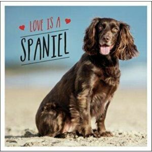 Love is a Spaniel. A Dog-Tastic Celebration of the World's Most Lovable Breed, Hardback - Charlie Ellis imagine