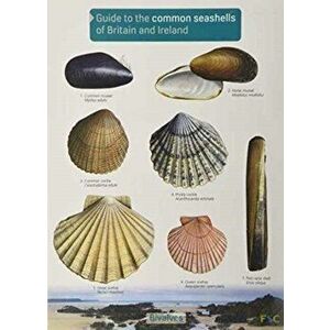 Guide to the Common Seashells of Britain and Ireland - Chris Field Studies Council imagine
