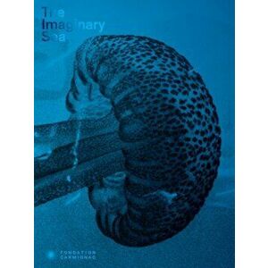 The Imaginary Sea, Paperback - *** imagine