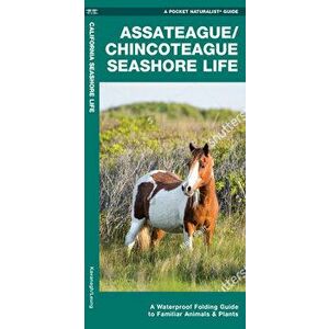 Assateague/Chincoteague Seashore Life. A Waterproof Folding Guide to Familiar Animals & Plants, Paperback - Waterford Press imagine