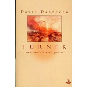 Turner, Paperback - David Dabydeen imagine