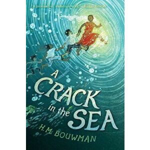 A Crack in the Sea, Paperback - HM Bouwman imagine