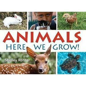 Animals!. Here We Grow, Paperback - Shelley Rotner imagine