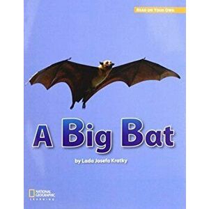 ROYO READERS LEVEL A A BIG BAT. New ed - *** imagine