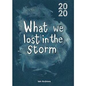What We Lost In The Storm, Paperback - Iain Andrews imagine