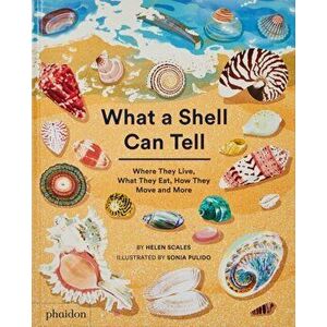 What A Shell Can Tell, Hardback - Helen Scales imagine