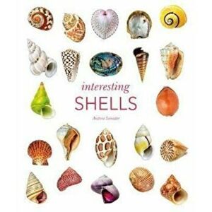 Interesting Shells, Hardback - Andreia Salvador imagine