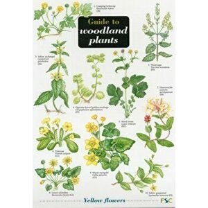 Guide to Woodland Plants, Sheet Map - Mavis Gulliver imagine