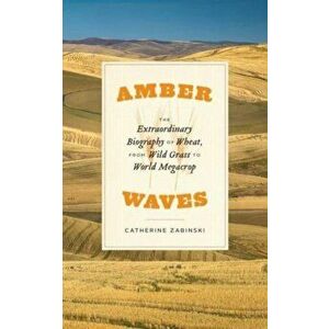 Amber Waves. The Extraordinary Biography of Wheat, from Wild Grass to World Megacrop, Paperback - Catherine Zabinski imagine