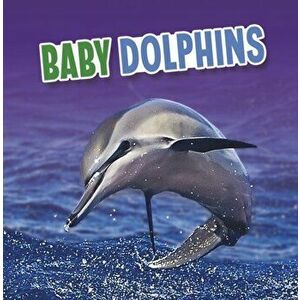 Baby Dolphins, Hardback - Martha E. H. Rustad imagine