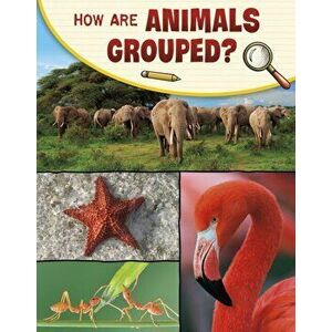 How Are Animals Grouped?, Hardback - Lisa M. Bolt Simons imagine