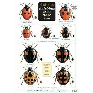 Guide to Ladybirds of the British Isles - Remy Ware imagine