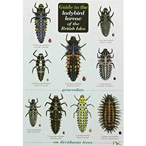 Guide to the Ladybird Larvae of the British Isles - Remy Poland imagine