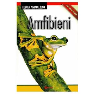 Enciclopedie: Amfibieni imagine