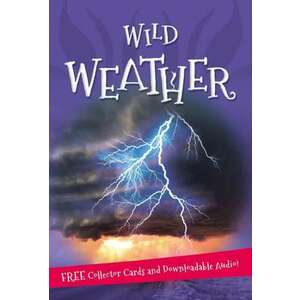 It's All About... Wild Weather imagine