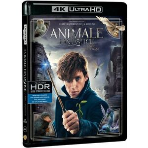 Animale Fantastice si unde le poti gasi 4K UltraHD (Blu Ray Disc) / Fantastic Beast and Wthere to Find Them | David Yates imagine