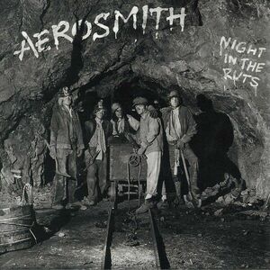 Night In The Ruts | Aerosmith imagine