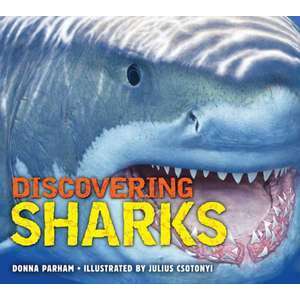 Discovering Sharks imagine