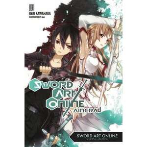 Sword Art Online 1: Aincrad (light novel) imagine