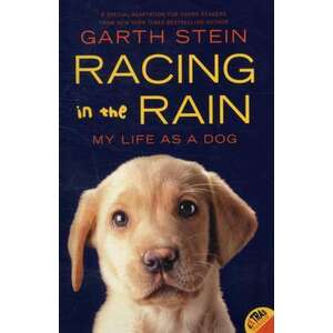 Racing in the Rain imagine