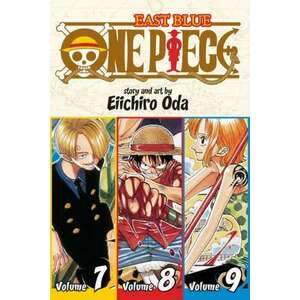One Piece, Vol. 3 imagine