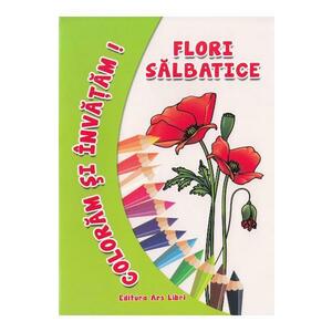 Flori salbatice - Coloram si invatam! imagine