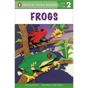 Frogs imagine