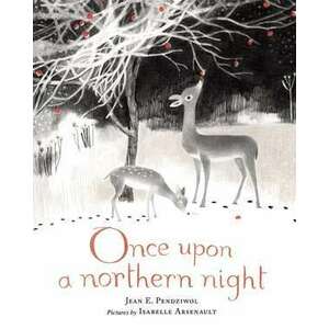 Once Upon a Northern Night imagine