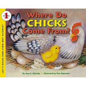 Where Do Chicks Come From? imagine