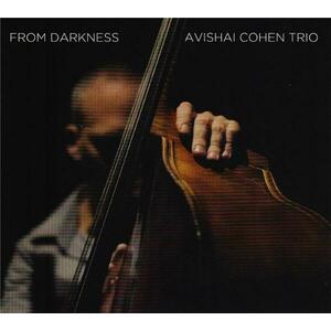 From Darkness | Avishai Cohen Trio imagine